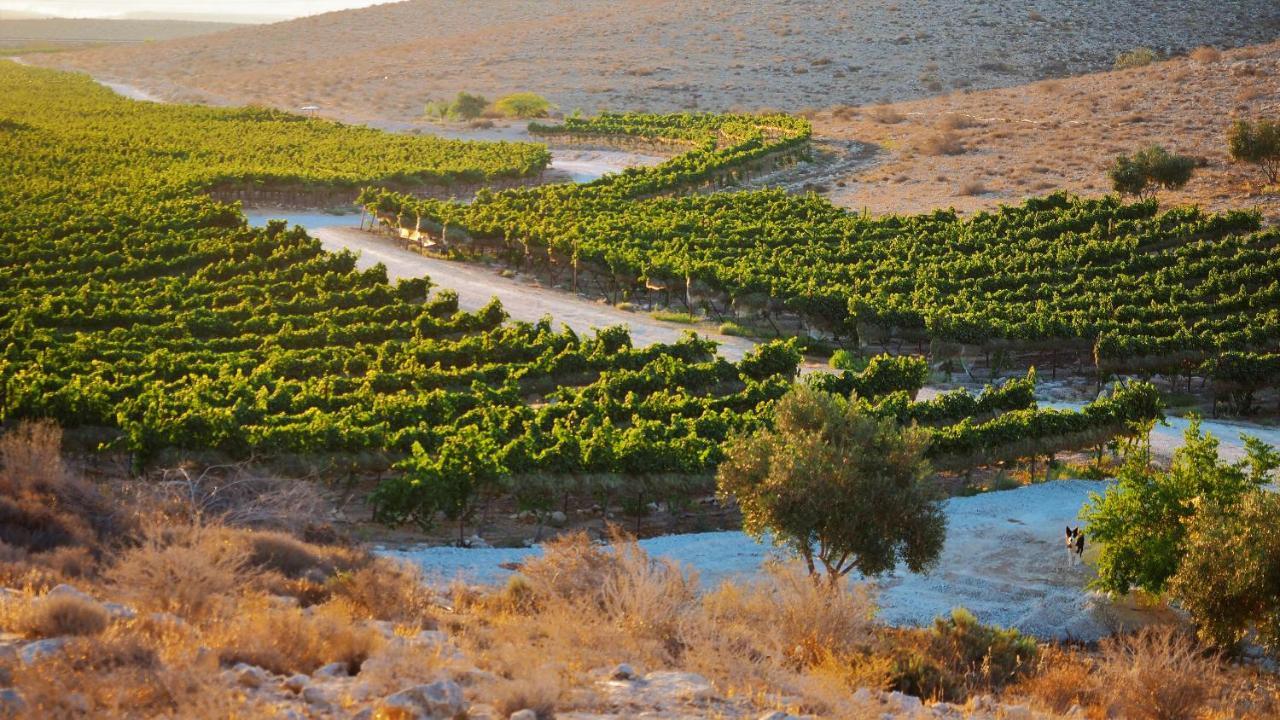 Carmey Avdat Farm Midreshet Ben Gurion Bagian luar foto