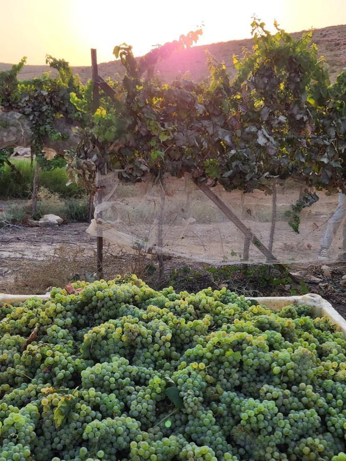 Carmey Avdat Farm Midreshet Ben Gurion Bagian luar foto